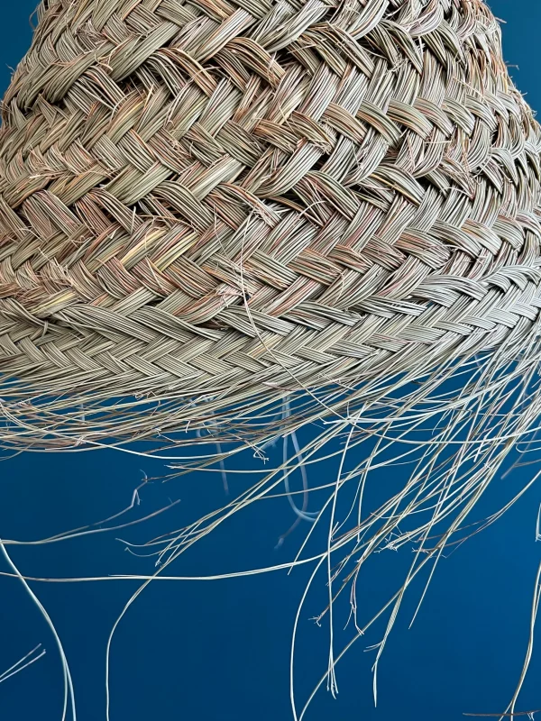 SUSPENSTION EMMA DESERT – Image 5