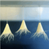 LOT de 3 suspensions en osier - Gamme LILIA