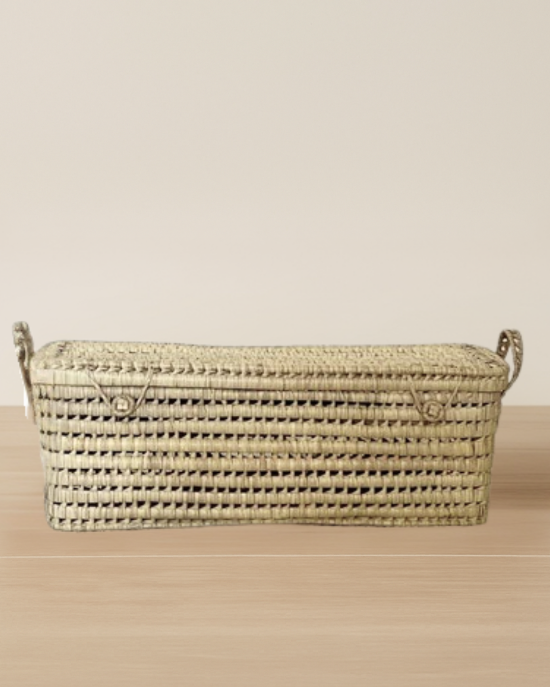 Malle de rangement slim